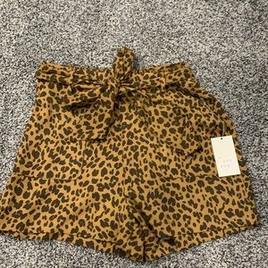 A new day Cheetah shorts new with tags!